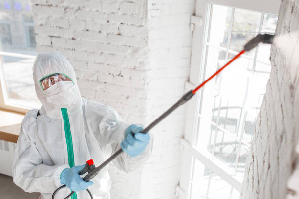 Best Commercial Mold Inspection  in Southmont, PA