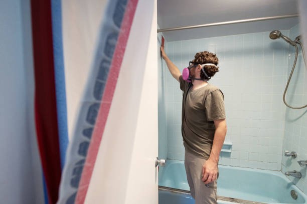 Best Mold Prevention Services  in Southmont, PA